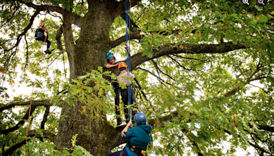 Glasgow family-friendly event teaching tree-climbing coming to Queens Park