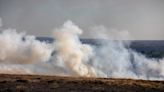 England’s ‘rainforests’: officials investigate reports of burning protected peat