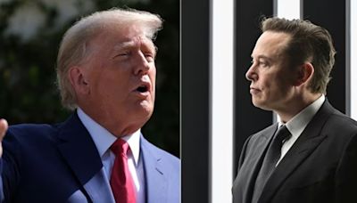 Elon Musk could become policy adviser if Donald Trump wins election, says report | World News - The Indian Express