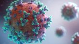 New vaccine effective against future coronaviruses