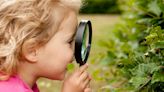 Que los niños jueguen con plantas: curiosidad, aprendizaje y disfrute