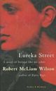 Eureka Street (novel)