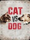 Cat vs. Dog