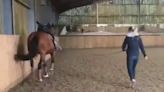 Charlotte Dujardin video released as Olympian 'whips horse like an elephant in circus'