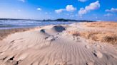 全世界最大的沙丘海岸！韓國泰安郡新斗里海岸沙丘