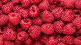 How To Store Raspberries To Avoid A Mushy Mess