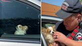 Houston Firefighters Save Dog From 'Dangerously Hot' Abandoned Car: 'Every Second Counted'