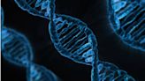 人類DNA藏「數百萬年前病毒」 研究意外發現：能幫助抗癌