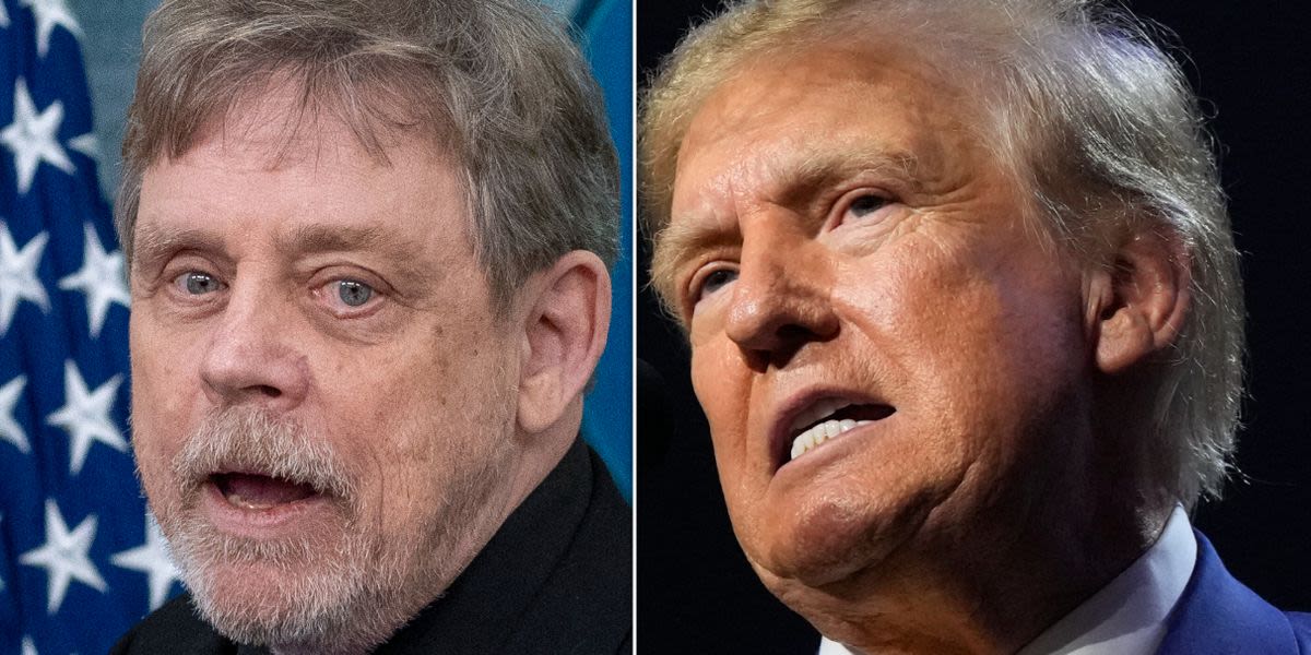 ‘Don’t Call Him Don’: Mark Hamill Taunts Trump With A Biting New First Name