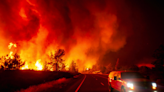 ¡En llamas! Incendio forestal se expande a gran velocidad en California, EU