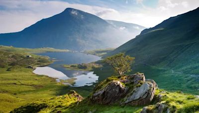 Woman walks to top of Snowdon then is fuming to find out you can get the train