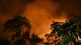 Feuerwehr in Nepal kämpft gegen Waldbrand nahe der Hauptstadt Kathmandu