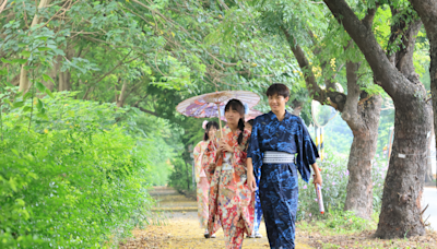 東螺溪戀戀欒樹節 週六熱鬧美食饗宴