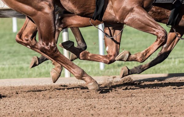 150th Kentucky Derby: Final Results, Standings, & Payouts