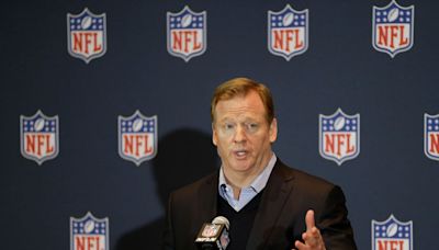 Professors Attack Goodell’s Authority As Troubling Workplace Precedent