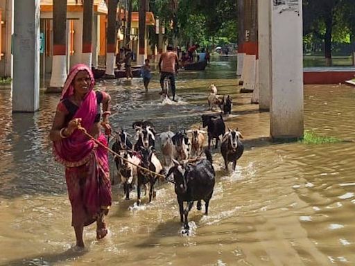 Bihar flood: High alert issued! Schools shut, overflowing rivers, emergency measures in place - all you need to know | Today News