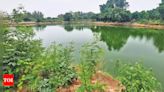 Delhi Govt's Successful Lakes Project Helps Recharge Groundwater | Delhi News - Times of India