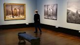 Una gran exposición conmemora el 250 del nacimiento del gran pintor romántico Caspar David Friedrich