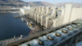 Blatant political posturing overrides science in WA’s Snake River dams debate