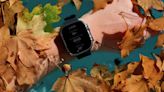Apple Watch Lost in the Sea Found 18 Months Later, Still Works