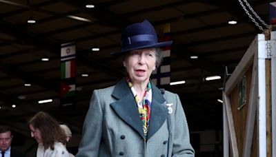 Princess Anne Cancels Her Engagements After an Incident on a Horse