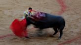 儀式太殘忍 西班牙取消國家鬥牛獎