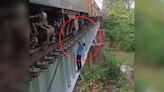 Watch: Under Engine, Dangling Off Bridge, Loco Pilots Go Extra Mile To Repair Train