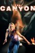 The Canyon (film)