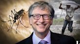 El país de Sudamérica con más lluvias en el mundo: Bill Gates financia una proyecto para erradicar el dengue