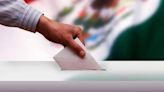 INE en Morelos baja del sistema electoral a 204 "aspirantes a votar"