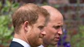 Prince Harry accuses Daily Mail of hacking phone call with William over photograph of their dead mother