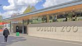 Dublin Zoo cleared of wrongdoing after investigation into allegations of mistreatment of animals