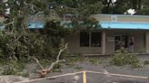 ‘Like Godzilla went into the beauty salon:’ Tree crushes beloved barber shop