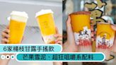 手搖界明星回歸！6家「楊枝甘露」手搖飲：鶴茶樓芒果雪泥、萬波超狂咀嚼系配料！