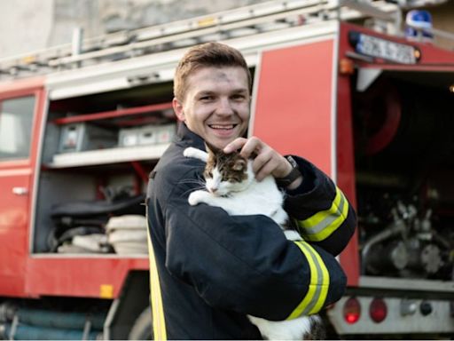 Kitten Rescued From Fire Engine by Firefighters in Ohio