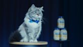 Exclusive: Cat Wrangler for Kate McKinnon's Hellmann's Super Bowl Ad Shares Secrets of the Trade
