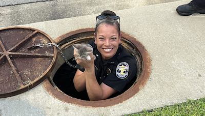 Louisville officer adopts kitten rescued from storm drain on duty