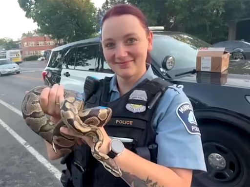 Minneapolis Rideshare Driver Discovers Snake Left Behind in Car