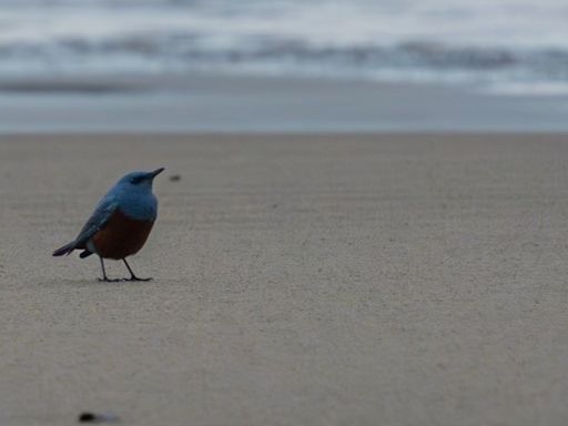 ‘Mega-rare’ bird spotted at Oregon’s Hug Point is first sighting in U.S. history