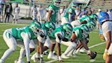 Gators like what they see in spring football game - The Vicksburg Post