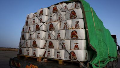 Aid trucks expected to start entering Gaza through Kerem Shalom crossing