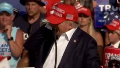 Donald Trump grazed by gunfire at rally in Pennsylvania
