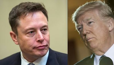 Tech-Milliardär Musk will Trump mit monatlich 45 Millionen Dollar unterstützen