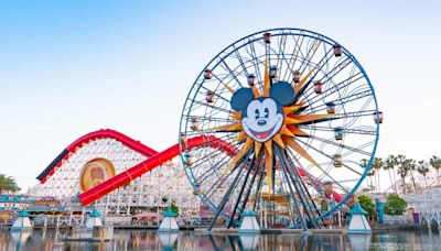 Disneyland Roller Coaster Riders Rescued in Back-to-Back Malfunction Incidents