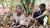 Advocates sue federal government for failing to ban imports of cocoa harvested by children