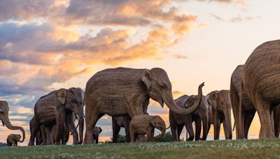 Migration Of 100 Life-Size Elephant Sculptures Will Make Stop In New York City