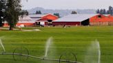 Water licensing restrictions deterring new Vancouver Island farms