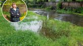 How to fix your water-logged lawn & the Wikes buy that could be it’s saviour