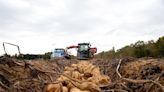 USDA to continue classifying potato as a vegetable, not a grain