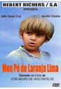 Meu Pé de Laranja Lima (film)